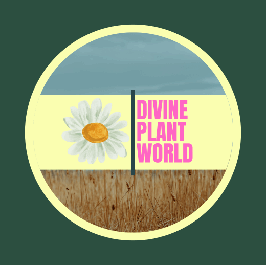 The Divine Plant World 